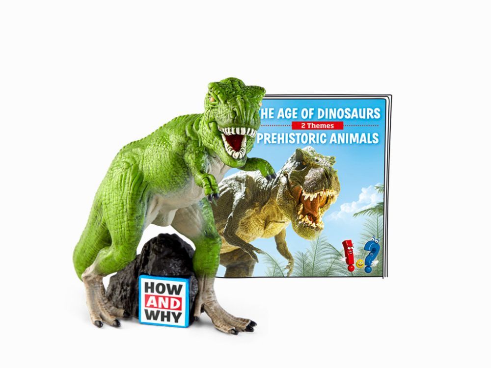 Toy 1