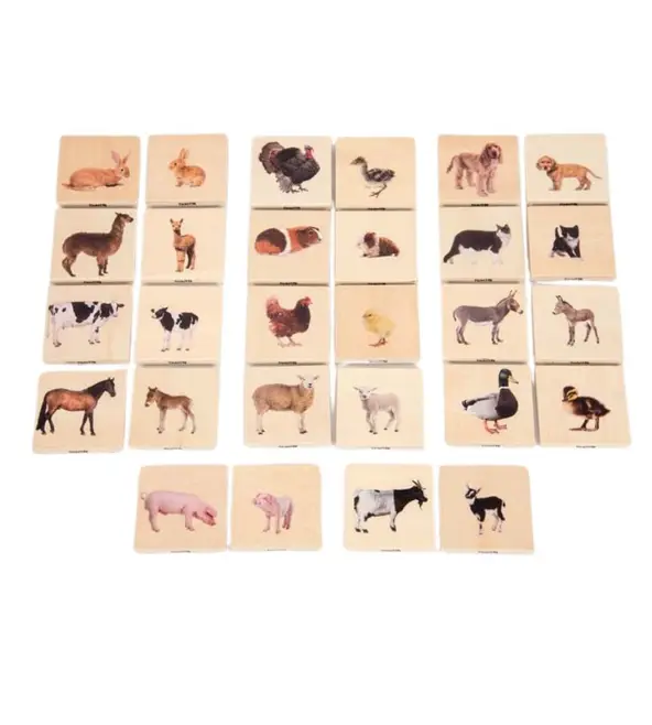 Tickit Domestic Animal Family Match