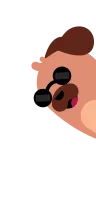 pug_left