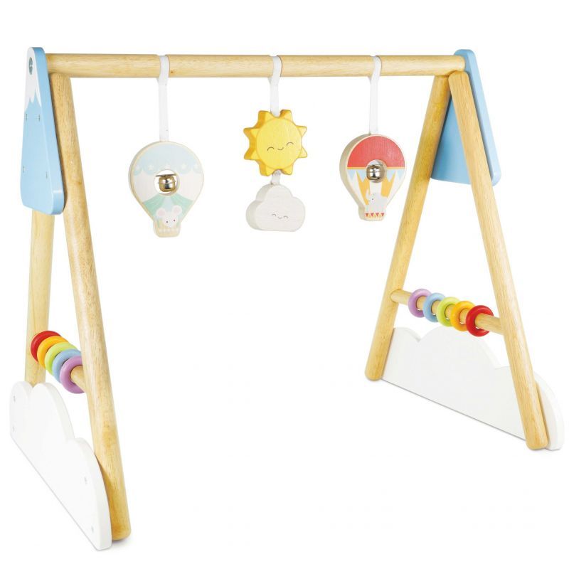 Toy 1