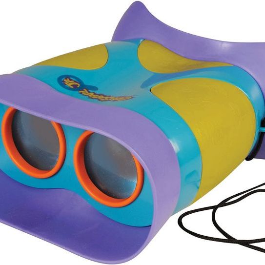 Toy 1