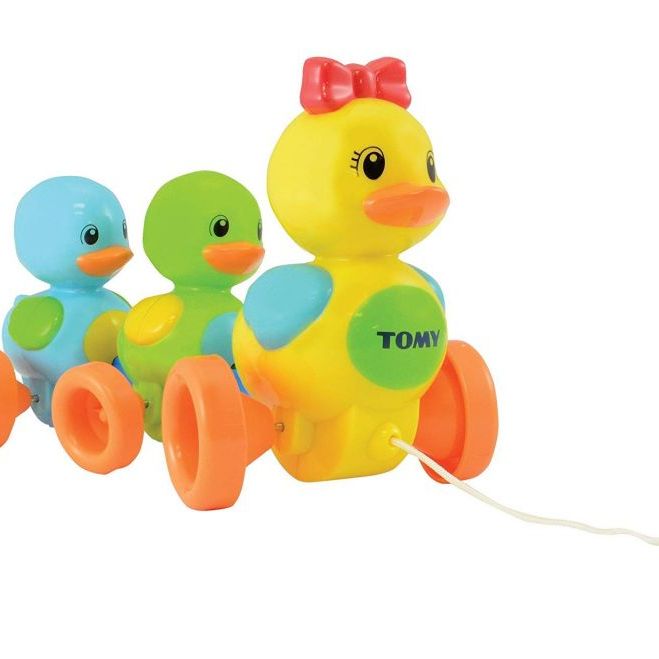 Toy 1