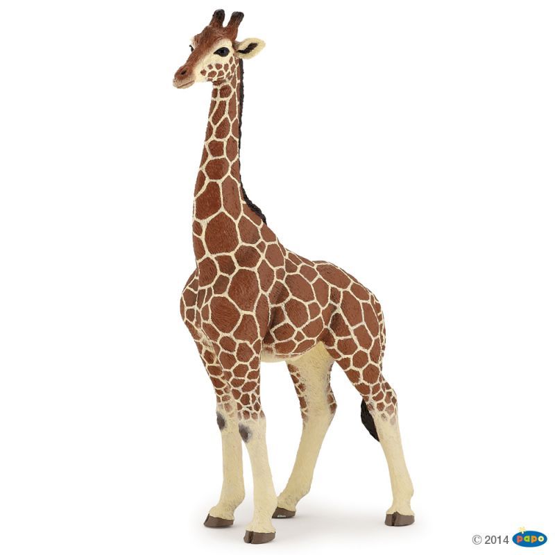 Toy 1