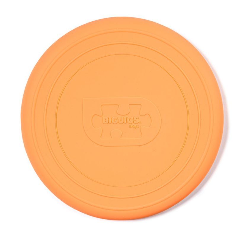 Toy 1