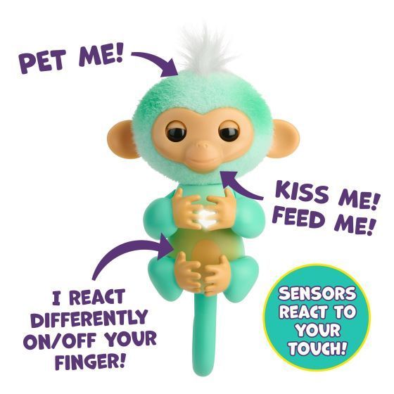 Toy 1