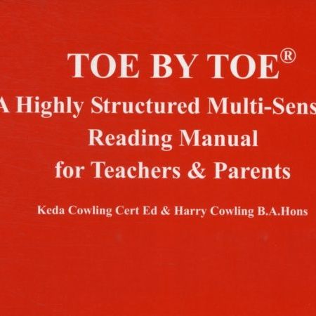 Toy 1