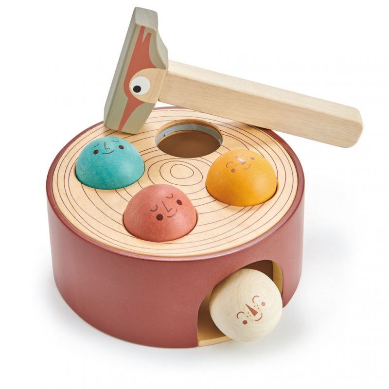 Toy 1