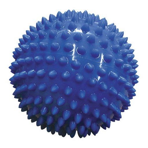 Toy 1