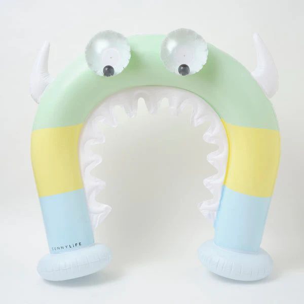 Toy 1